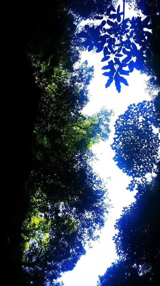 主公莫慌
